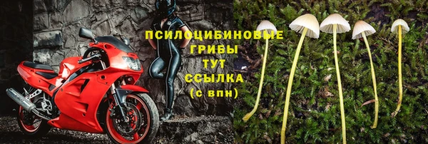 спиды Алексеевка