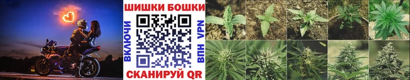 цены наркотик  Берёзовский  Конопля ГИДРОПОН 